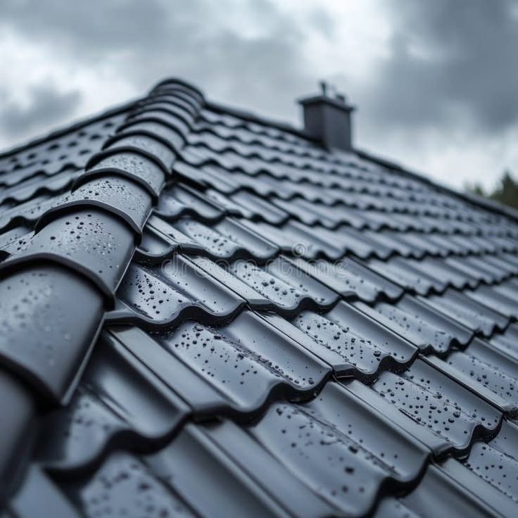 Roofing Contractor project in Budapest