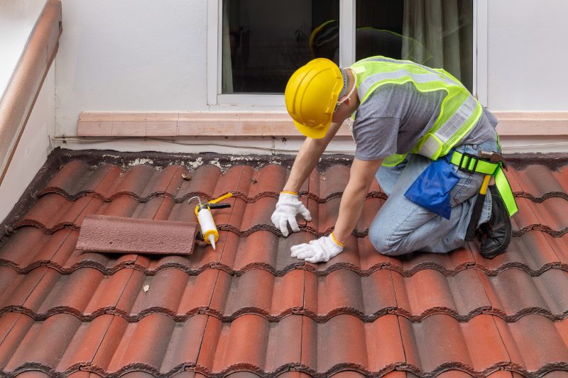 Roofing Contractor project in Budapest